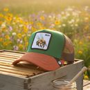 كاب - Cap