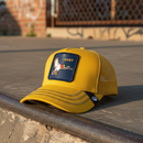 كاب - Cap